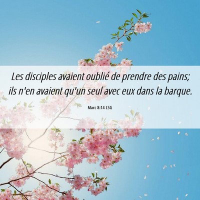 Picture 06 - Marc 8:14 LSG - Les disciples avaient oublié de prendre des - Bible Verse Picture
