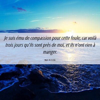 Picture 06 - Marc 8:2 LSG - Je suis ému de compassion pour cette foule; car - Bible Verse Picture