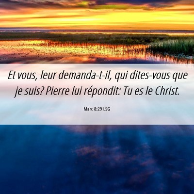 Picture 06 - Marc 8:29 LSG - Et vous, leur demanda-t-il, qui dites-vous que je - Bible Verse Picture