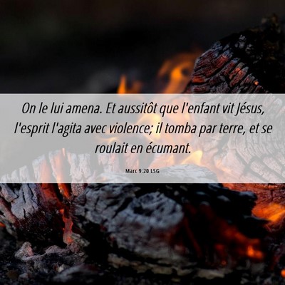 Picture 06 - Marc 9:20 LSG - On le lui amena. Et aussitôt que l'enfant vit - Bible Verse Picture