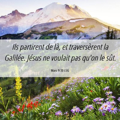 Picture 06 - Marc 9:30 LSG - Ils partirent de là, et traversèrent la - Bible Verse Picture