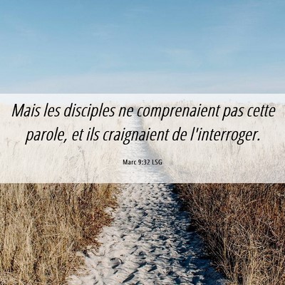 Picture 06 - Marc 9:32 LSG - Mais les disciples ne comprenaient pas cette - Bible Verse Picture
