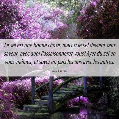 Picture 06 - Marc 9:50 LSG - Le sel est une bonne chose; mais si le sel - Bible Verse Picture