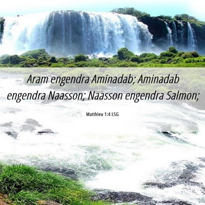 Picture 06 - Matthieu 1:4 LSG - Aram engendra Aminadab; Aminadab engendra - Bible Verse Picture