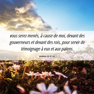 Picture 06 - Matthieu 10:18 LSG - vous serez menés, à cause de moi, devant des - Bible Verse Picture