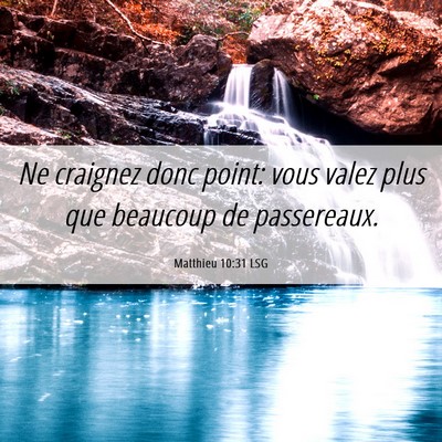 Picture 06 - Matthieu 10:31 LSG - Ne craignez donc point: vous valez plus que - Bible Verse Picture