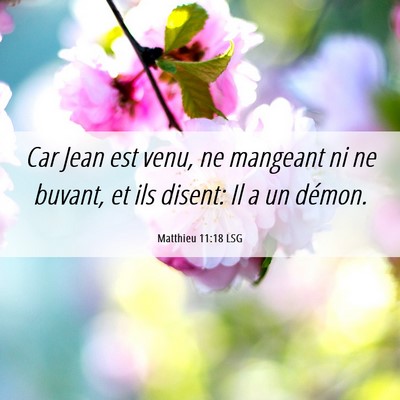 Picture 06 - Matthieu 11:18 LSG - Car Jean est venu, ne mangeant ni ne buvant, et - Bible Verse Picture