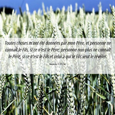 Picture 06 - Matthieu 11:27 LSG - Toutes choses m'ont été données par mon Père, - Bible Verse Picture