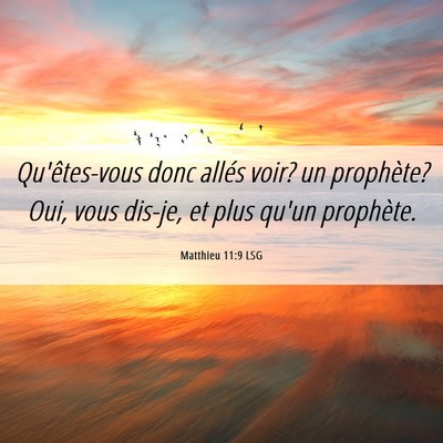 Picture 06 - Matthieu 11:9 LSG - Qu'êtes-vous donc allés voir? un prophète? - Bible Verse Picture