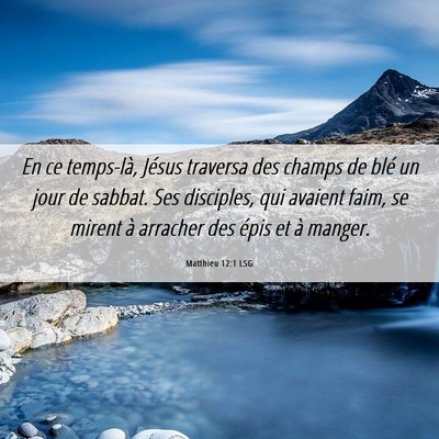 Picture 06 - Matthieu 12:1 LSG - En ce temps-là, Jésus traversa des champs de - Bible Verse Picture