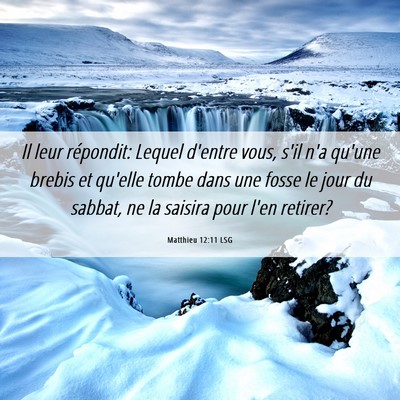 Picture 06 - Matthieu 12:11 LSG - Il leur répondit: Lequel d'entre vous, s'il n'a - Bible Verse Picture