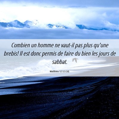 Picture 06 - Matthieu 12:12 LSG - Combien un homme ne vaut-il pas plus qu'une - Bible Verse Picture
