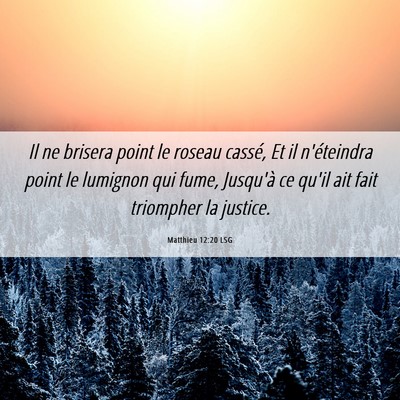 Picture 06 - Matthieu 12:20 LSG - Il ne brisera point le roseau cassé, Et il - Bible Verse Picture