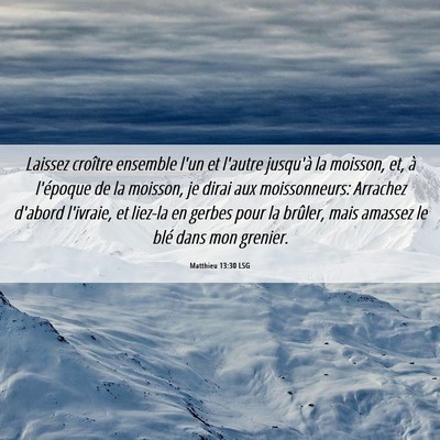 Picture 06 - Matthieu 13:30 LSG - Laissez croître ensemble l'un et l'autre - Bible Verse Picture