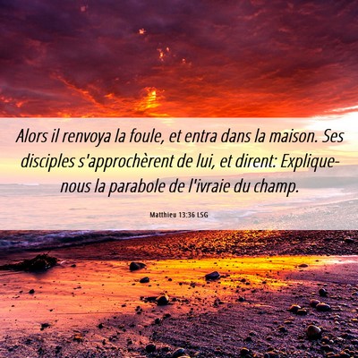 Picture 06 - Matthieu 13:36 LSG - Alors il renvoya la foule, et entra dans la - Bible Verse Picture