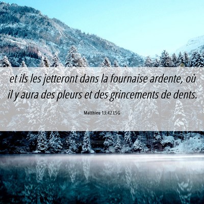 Picture 06 - Matthieu 13:42 LSG - et ils les jetteront dans la fournaise ardente, - Bible Verse Picture