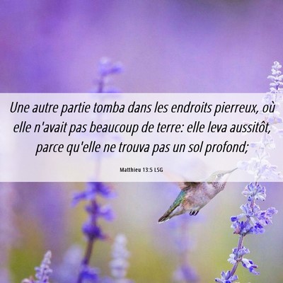 Picture 06 - Matthieu 13:5 LSG - Une autre partie tomba dans les endroits - Bible Verse Picture