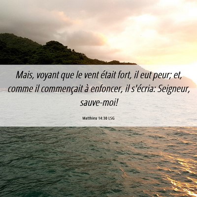 Picture 06 - Matthieu 14:30 LSG - Mais, voyant que le vent était fort, il eut - Bible Verse Picture