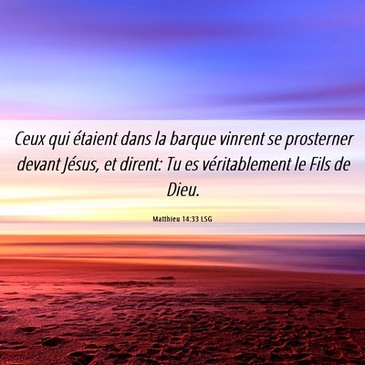 Picture 06 - Matthieu 14:33 LSG - Ceux qui étaient dans la barque vinrent se - Bible Verse Picture