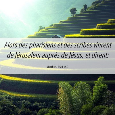 Picture 06 - Matthieu 15:1 LSG - Alors des pharisiens et des scribes vinrent de - Bible Verse Picture