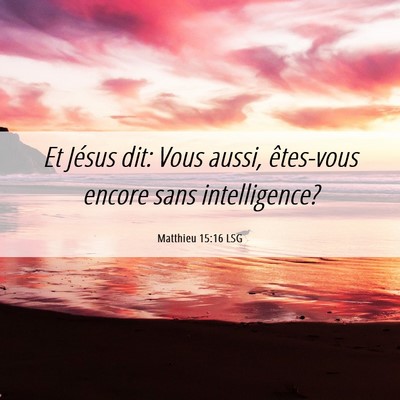 Picture 06 - Matthieu 15:16 LSG - Et Jésus dit: Vous aussi, êtes-vous encore sans - Bible Verse Picture