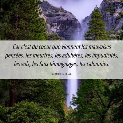 Picture 06 - Matthieu 15:19 LSG - Car c'est du coeur que viennent les mauvaises - Bible Verse Picture