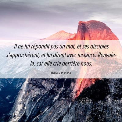 Picture 06 - Matthieu 15:23 LSG - Il ne lui répondit pas un mot, et ses disciples - Bible Verse Picture