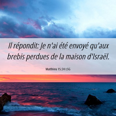 Picture 06 - Matthieu 15:24 LSG - Il répondit: Je n'ai été envoyé qu'aux brebis - Bible Verse Picture