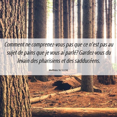 Picture 06 - Matthieu 16:11 LSG - Comment ne comprenez-vous pas que ce n'est pas au - Bible Verse Picture