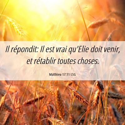 Picture 06 - Matthieu 17:11 LSG - Il répondit: Il est vrai qu'Elie doit venir, et - Bible Verse Picture
