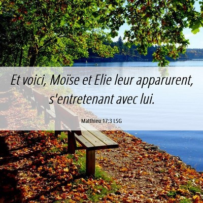 Picture 06 - Matthieu 17:3 LSG - Et voici, Moïse et Elie leur apparurent, - Bible Verse Picture