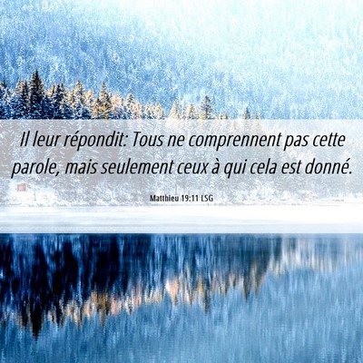 Picture 06 - Matthieu 19:11 LSG - Il leur répondit: Tous ne comprennent pas cette - Bible Verse Picture