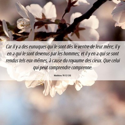 Picture 06 - Matthieu 19:12 LSG - Car il y a des eunuques qui le sont dès le - Bible Verse Picture