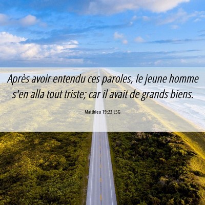 Picture 06 - Matthieu 19:22 LSG - Après avoir entendu ces paroles, le jeune homme - Bible Verse Picture