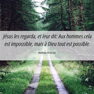 Picture 06 - Matthieu 19:26 LSG - Jésus les regarda, et leur dit: Aux hommes cela - Bible Verse Picture