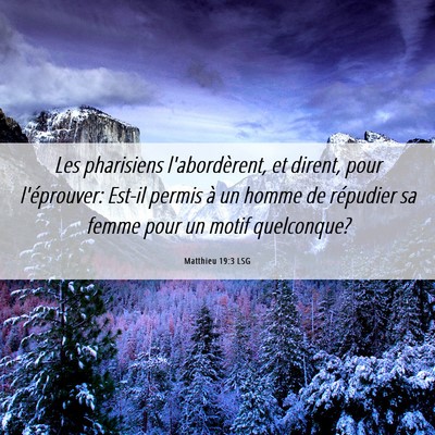 Picture 06 - Matthieu 19:3 LSG - Les pharisiens l'abordèrent, et dirent, pour - Bible Verse Picture