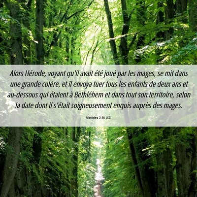 Picture 06 - Matthieu 2:16 LSG - Alors Hérode, voyant qu'il avait été joué par - Bible Verse Picture
