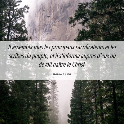 Picture 06 - Matthieu 2:4 LSG - Il assembla tous les principaux sacrificateurs et - Bible Verse Picture