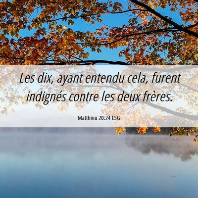 Picture 06 - Matthieu 20:24 LSG - Les dix, ayant entendu cela, furent indignés - Bible Verse Picture