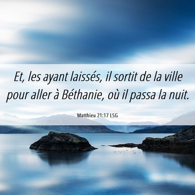 Picture 06 - Matthieu 21:17 LSG - Et, les ayant laissés, il sortit de la ville - Bible Verse Picture