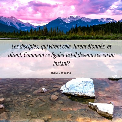 Picture 06 - Matthieu 21:20 LSG - Les disciples, qui virent cela, furent étonnés, - Bible Verse Picture