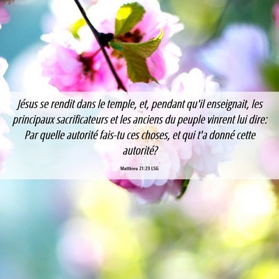 Picture 06 - Matthieu 21:23 LSG - Jésus se rendit dans le temple, et, pendant - Bible Verse Picture