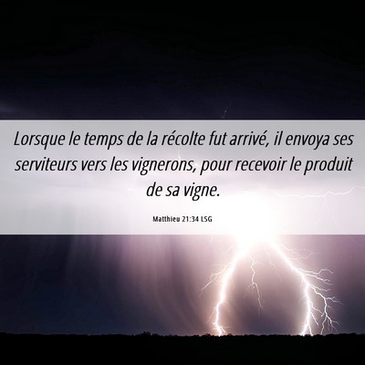 Picture 06 - Matthieu 21:34 LSG - Lorsque le temps de la récolte fut arrivé, il - Bible Verse Picture