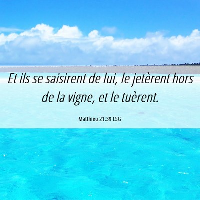 Picture 06 - Matthieu 21:39 LSG - Et ils se saisirent de lui, le jetèrent hors de - Bible Verse Picture