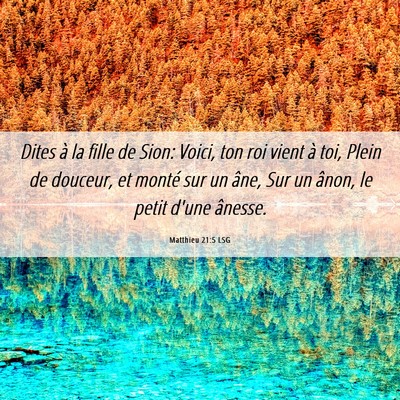 Picture 06 - Matthieu 21:5 LSG - Dites à la fille de Sion: Voici, ton roi vient - Bible Verse Picture
