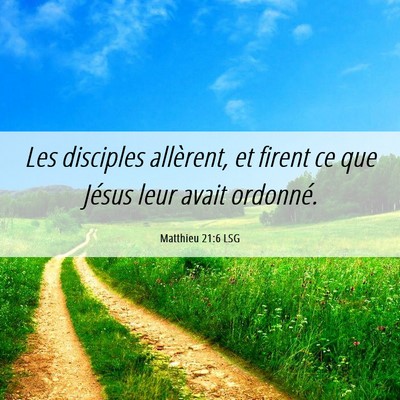 Picture 06 - Matthieu 21:6 LSG - Les disciples allèrent, et firent ce que Jésus - Bible Verse Picture