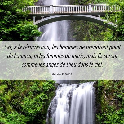 Picture 06 - Matthieu 22:30 LSG - Car, à la résurrection, les hommes ne prendront - Bible Verse Picture