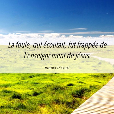 Picture 06 - Matthieu 22:33 LSG - La foule, qui écoutait, fut frappée de - Bible Verse Picture