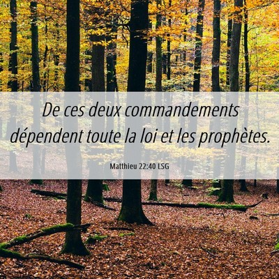 Picture 06 - Matthieu 22:40 LSG - De ces deux commandements dépendent toute la loi - Bible Verse Picture