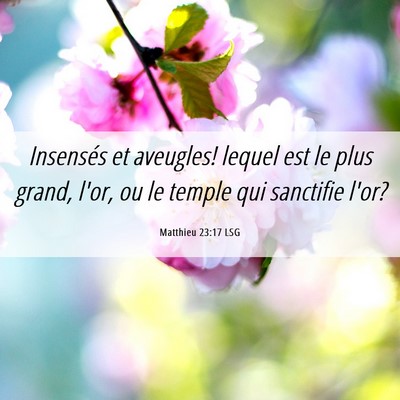 Picture 06 - Matthieu 23:17 LSG - Insensés et aveugles! lequel est le plus grand, - Bible Verse Picture